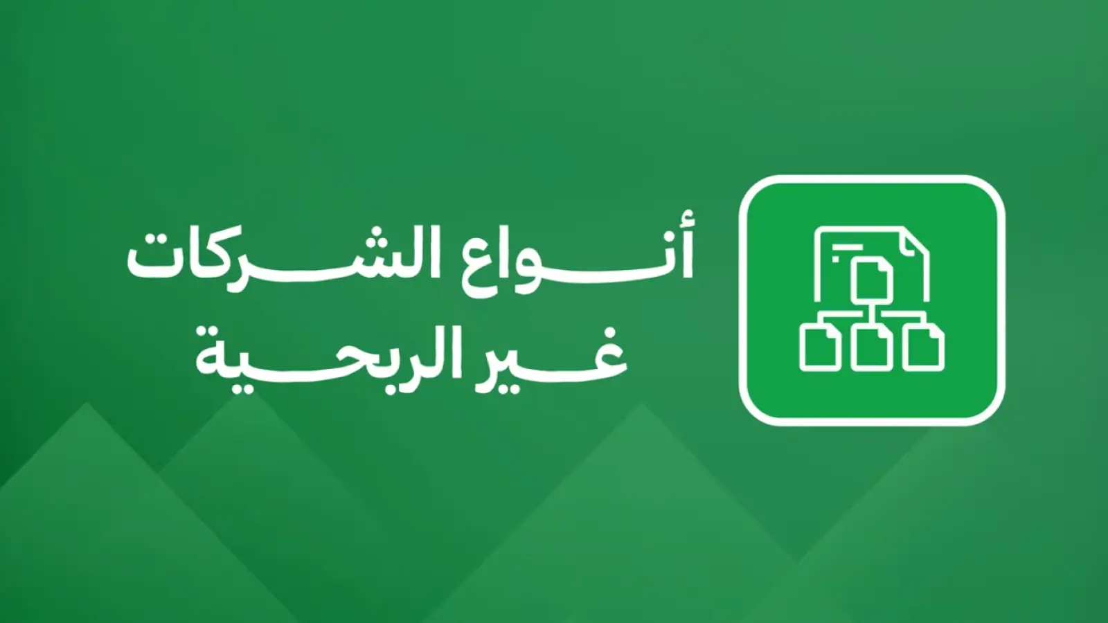 أنواع الشركات غير الربحية
