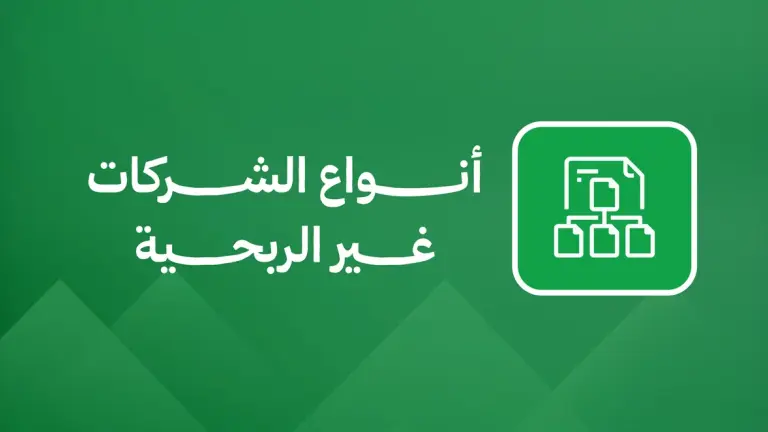 أنواع الشركات غير الربحية