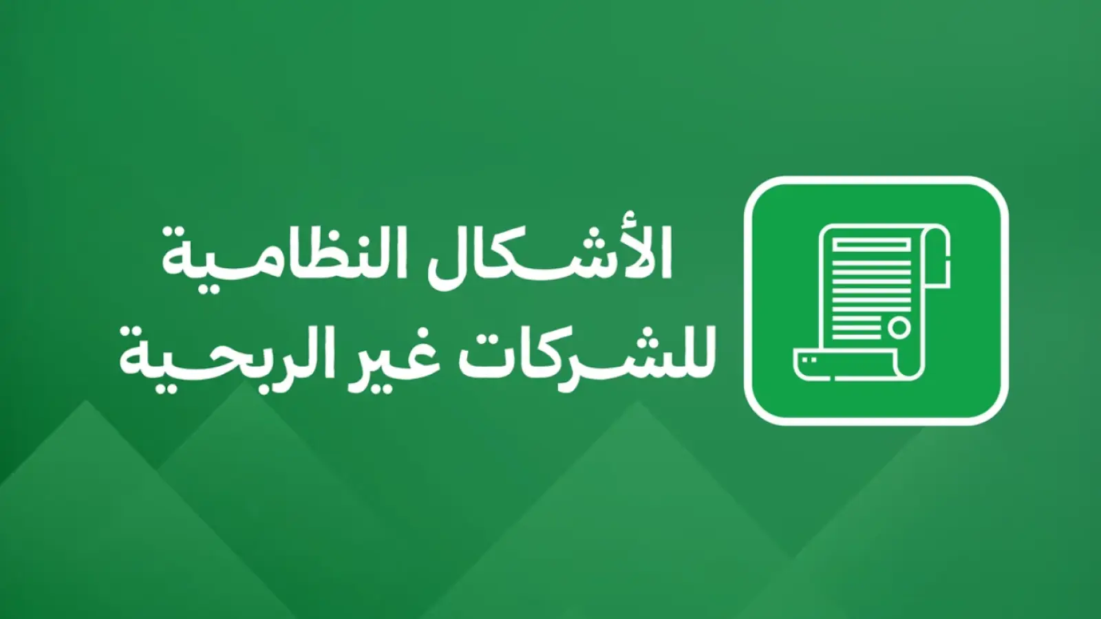 الأشكال النظامية للشركات غير الربحية