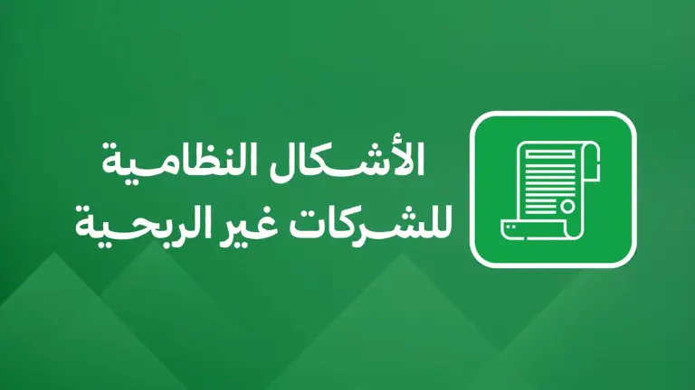 الأشكال النظامية للشركات غير الربحية