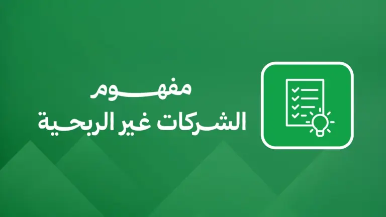 مفهوم الشركات غير الربحية