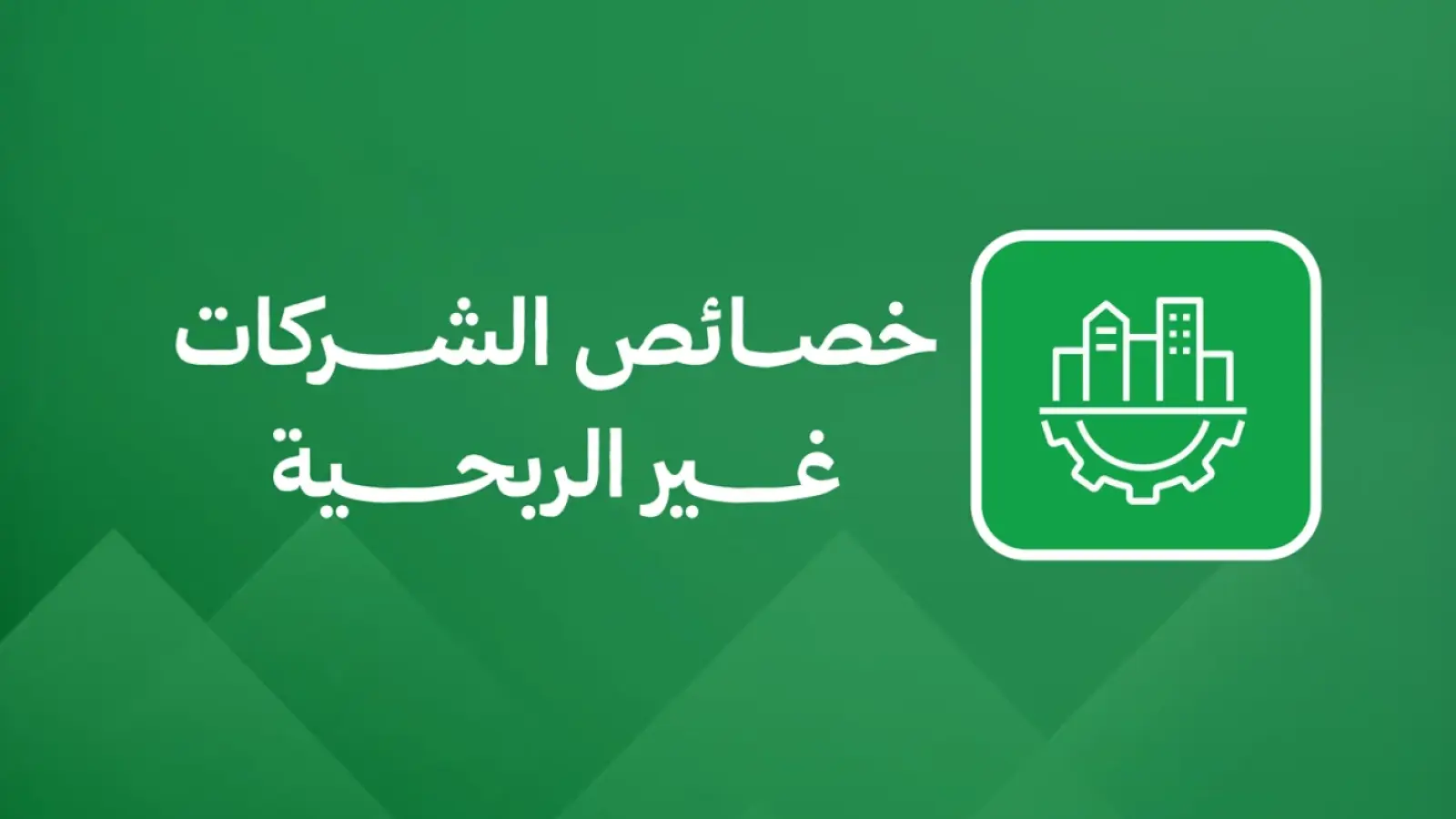 خصائص الشركات غير الربحية