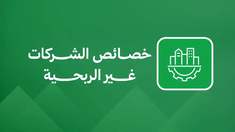 خصائص الشركات غير الربحية