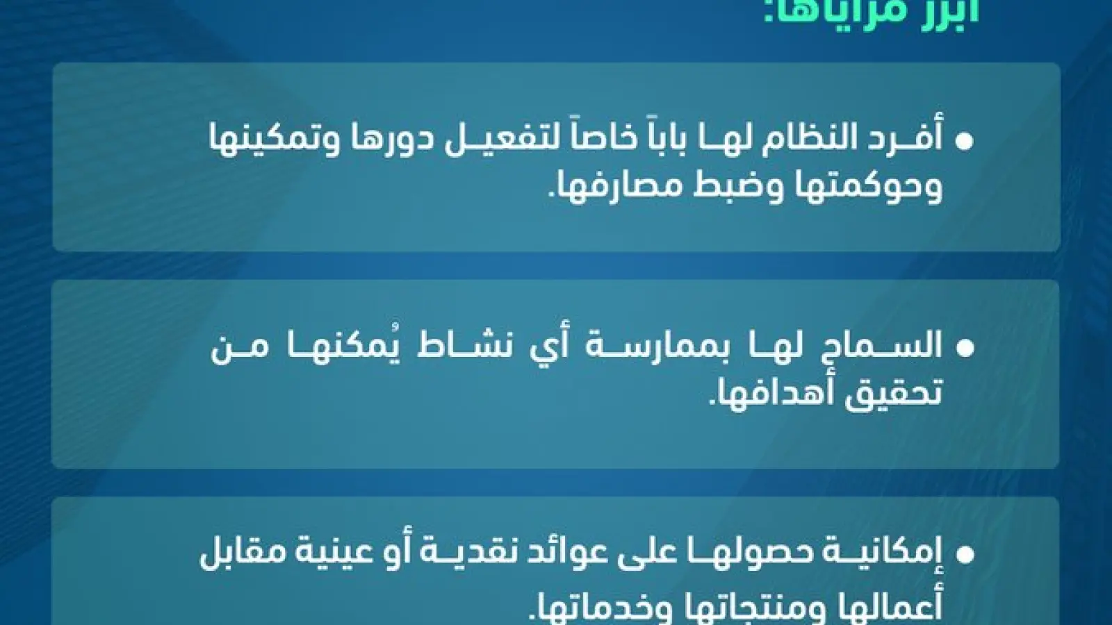 صورة 1 من ماذا قدم النظام للشركات غير الربحية ؟