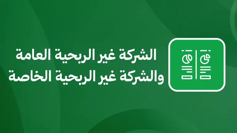 الشركة غير الربحية العامة والشركة غير الربحية الخاصة