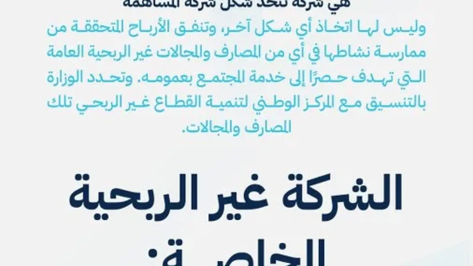 صورة 1 من الشركة غير الربحية العامة والشركة غير الربحية الخاصة