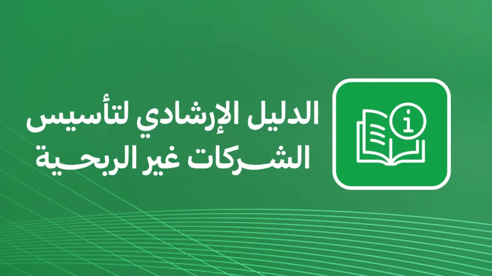 الدليل الإرشادي لتأسيس الشركات غير الربحية
