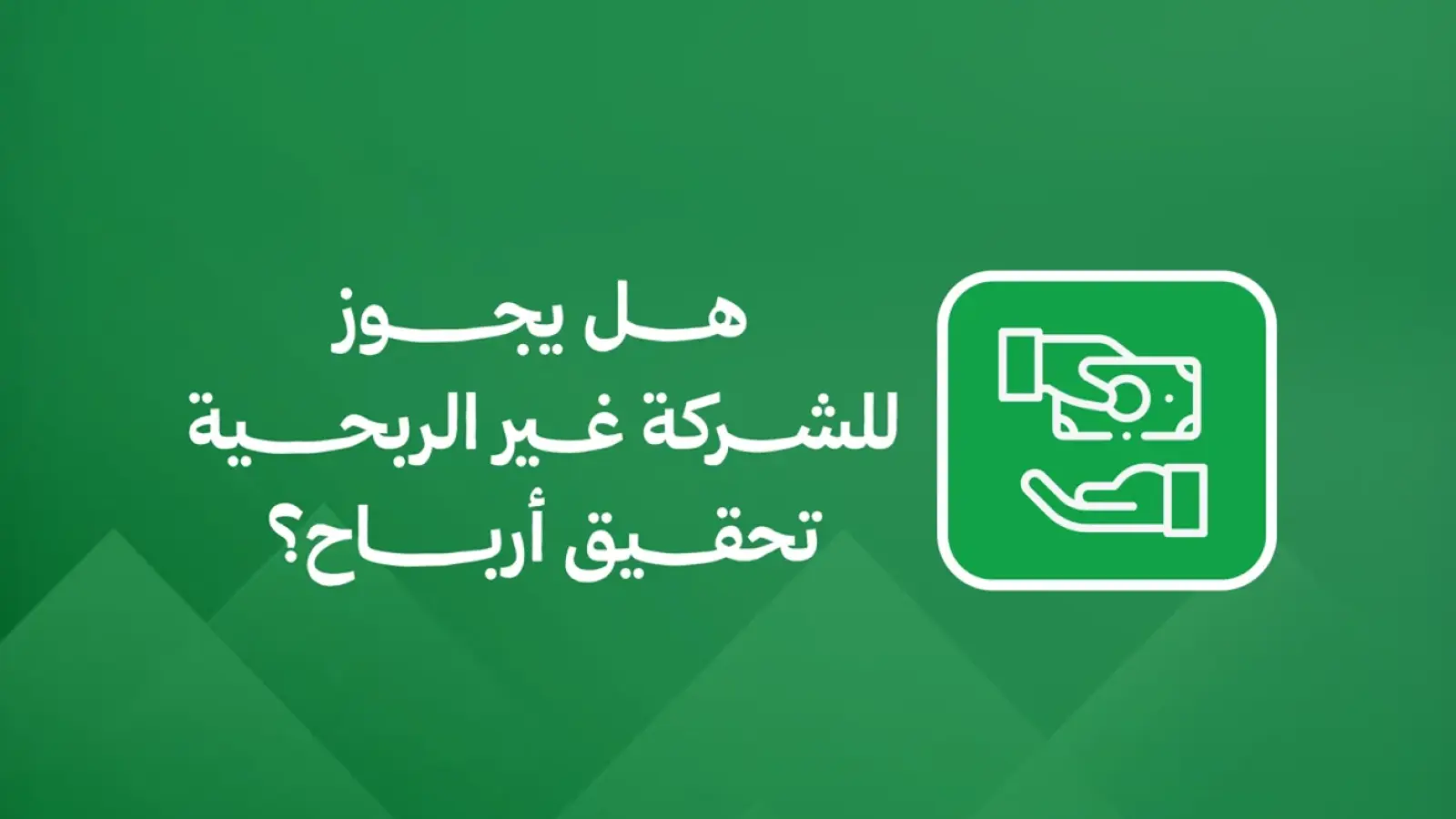 هل يجوز للشركة غير الربحية تحقيق أرباح؟