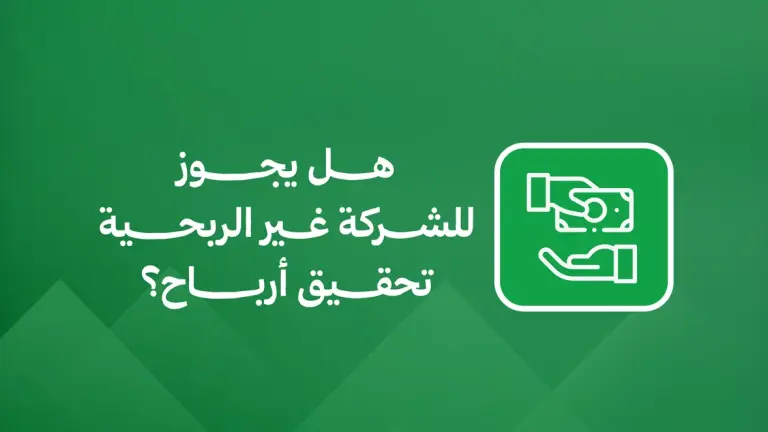 هل يجوز للشركة غير الربحية تحقيق أرباح؟
