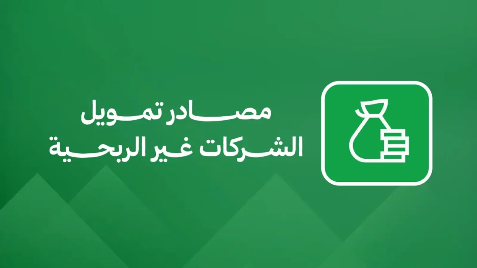 مصادر تمويل الشركات غير الربحية